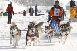 Lenk 2012 SM